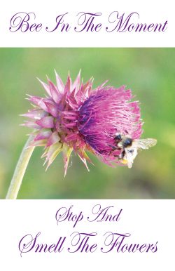 5Bee-Card-Front-Cover